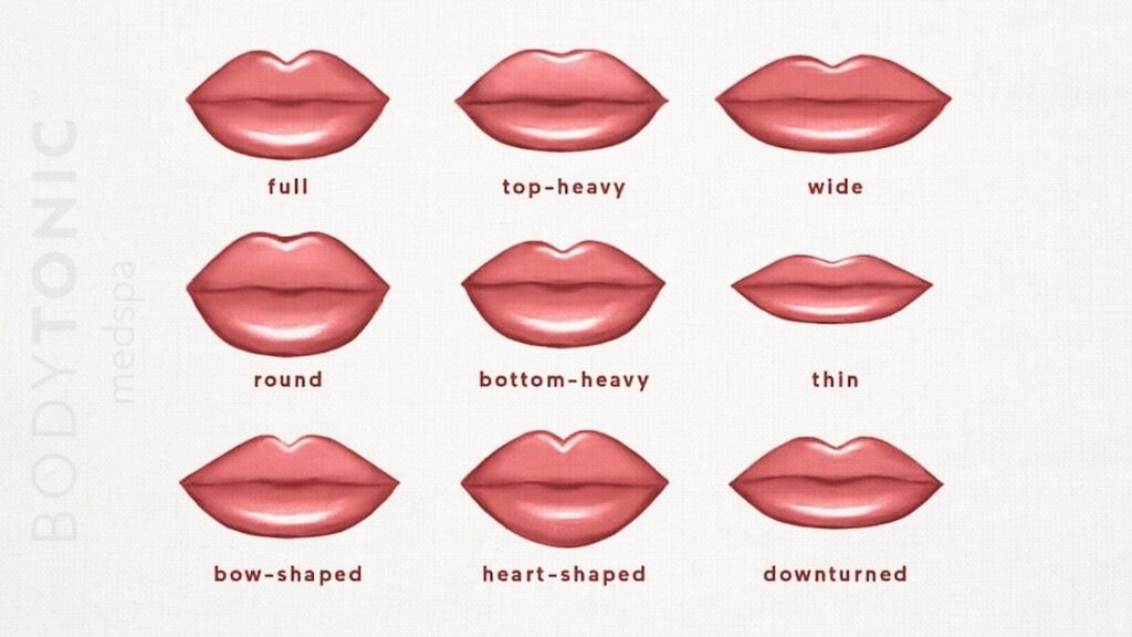 Different type of lip shapes